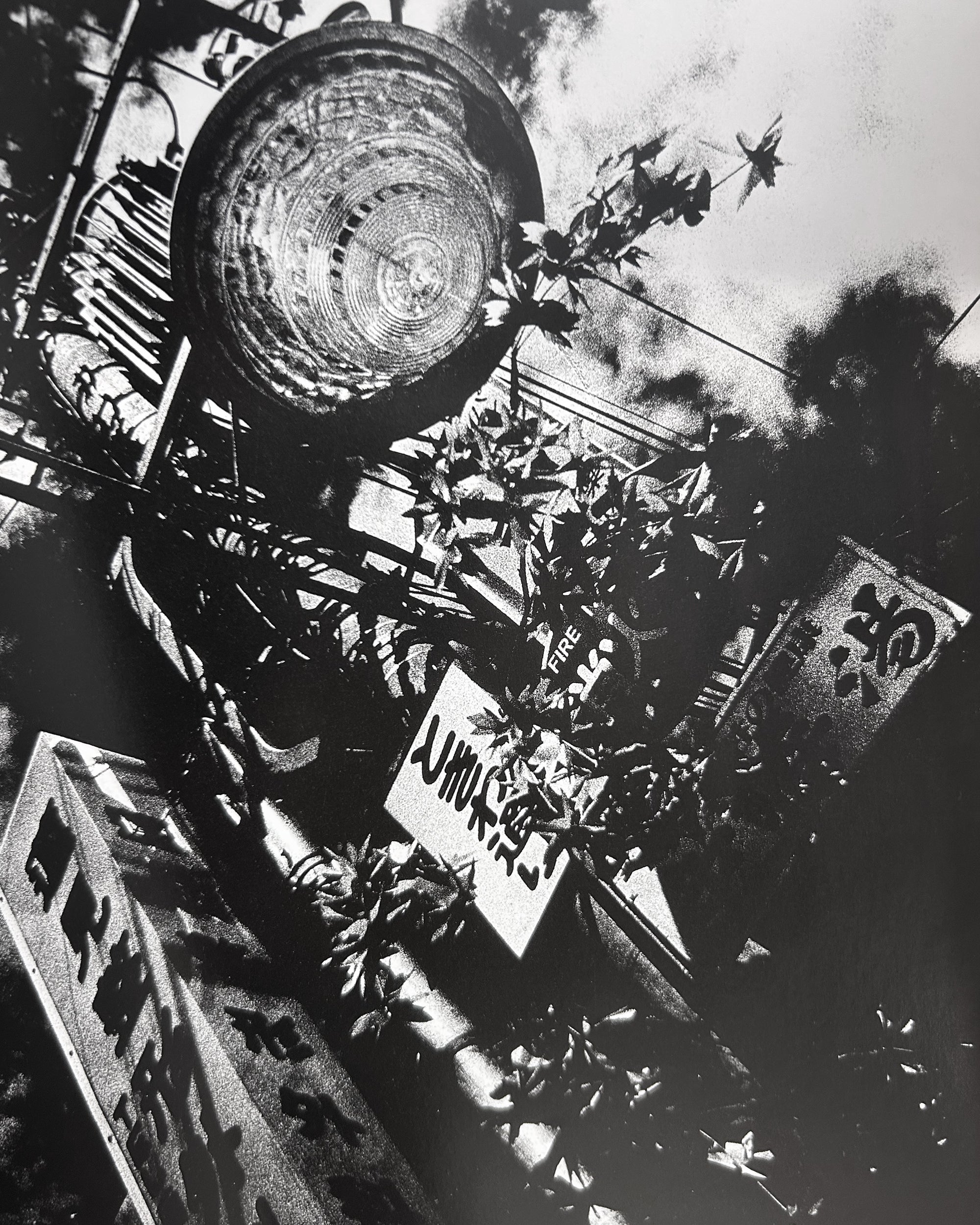 Moriyama Daido | Fragments 1964–1998 Daido Moriyama - Fragments (1998) – The Radical Media Archive