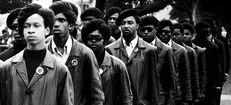 The Black Panthers: Vanguard of the Revolution
